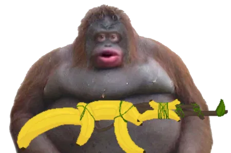 Monke