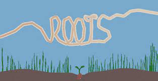 Roots